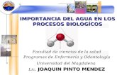 Importancia Del Agua en Los Procesos Bioquimicos - Recortado