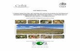 Caracterización de Sistemas Vegetacionales Azonales Hídricos Terrestres Del Sector Ancara y Tacora en La Región de Arica y Parinacota