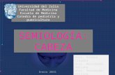 Semiologia Cabeza.
