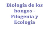 Biologia y Filogenia de Hongos