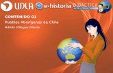 Contenido 01 - Pueblos Originarios de Chile