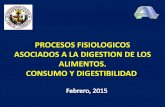 Procesos Digestivos en Los Animales Consumo y Digestibilidad 2015