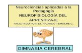 Neurociencias-Ginnasia cerebral-aprendizaje.pptx