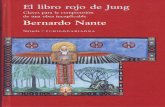 El Libro Rojo de Jung  PDF