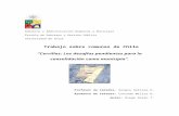 Trabajo Gob Regional Sobre Comunas de Chile- Cerrillos (Diego Durán)
