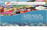 Catálogo Etnobotánico, Morfológico, Agronómico y Calidad de Cultivares de Papas Nativas Sierra Centro Norte Del Ecuador