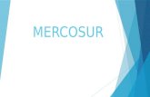 Exposición Mercosur- Fup Noche