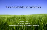 3. Clase (Nutrientes Necesarios Para Los Cultivos)