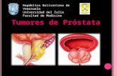Tumores de Prostata