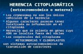 Citoplasma en La Herencia