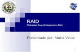 Presentacion TaF RAIDMaria
