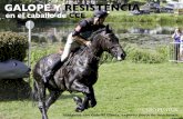 Galope Y Resistencia en el caballo de CCE