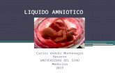 1LIQUIDO_AMNIOTICO CAMN