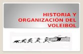Historia y Organización Del Voleibol Laredes