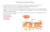 Membrana plasmática y centrosoma.pptx