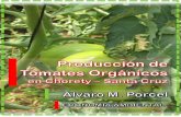 Producción de Tomates Orgánicos en Chorety – Santa Cruz -Bolivia