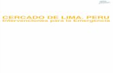 CERCADO DE LIMA. PERU Intervenciones para la Emergencia