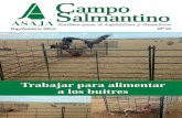 Campo Salmantino Septiembre 2014