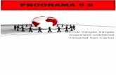 Programa 5 s Actualizado Marzo 2010