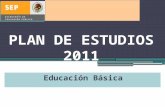 Ponente 2 Principios Pedagógicos Plan de Estudios 2011
