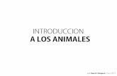 6. Introduccion a Los Animales