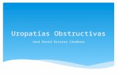 Uropatías Obstructivas