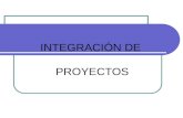 Teoria Integracion Proyectos