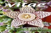 Revista Vitae 34. Primavera 2015