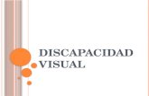 Discapacidad Visual. Conceptos Para El Llavero