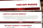 Sueldo Diario Presentacion