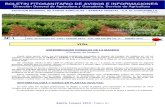 Boletin012014 Enfermedades Fungicas de La Madera