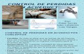 Presentacion Uninorte Control de Perdidas Fidel, Ivan y Luis