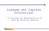 211660553 PPT Cuidado Del Capital Intelectual y Remuneraciones
