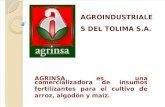 Agroindustriales Del Tolima s