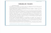Shale Gas-document. Word