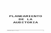 Planeacion de La Auditoria-lucy