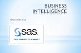 Business Intelligence Sas