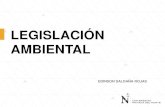 001-LEGISLACIÓN AMBIENTAL.pdf