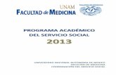 Programa Academico Actualizacion 2013