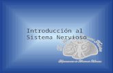 Introducción Al SNC (sistema nervioso)