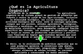 Agricultura orgánica