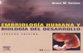 Embriologia humana