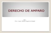 JUICIO DE AMPARO.pdf