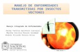 Manejo de Enfermedades Transmitidas Por Insectos Vectores