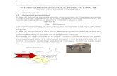 Informe Geologico Geofisico Aguaquisa