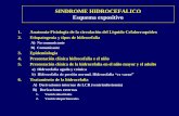Hidrocefalia pdf - FISIOPATOLOGIA II, PARCIAL 2