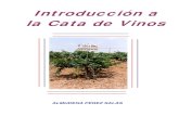 Introduccion a la cata de vinos.pdf
