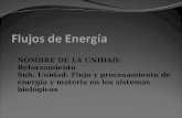 PPt 3  Ecosistemas energia .ppt