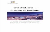 Informe gestión ambiental Plantas de Chancado, Molienda, Flotación y Tranques de Relaves.doc