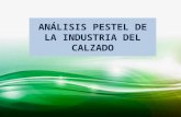 ANÁLISIS PESTEL DE LA INDUSTRIA DEL CALZADO diapos (1).pptx